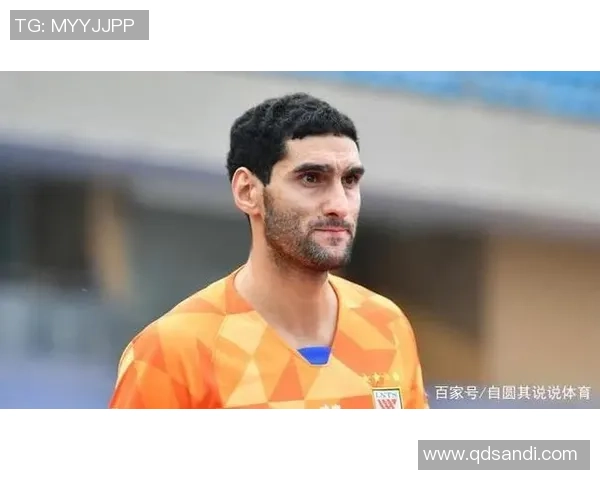 西安羽毛球队防守策略揭秘：提升竞技水平的关键所在