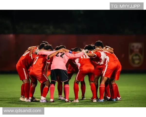 重庆足球队荣登足球意识排行榜首位引发热议与关注